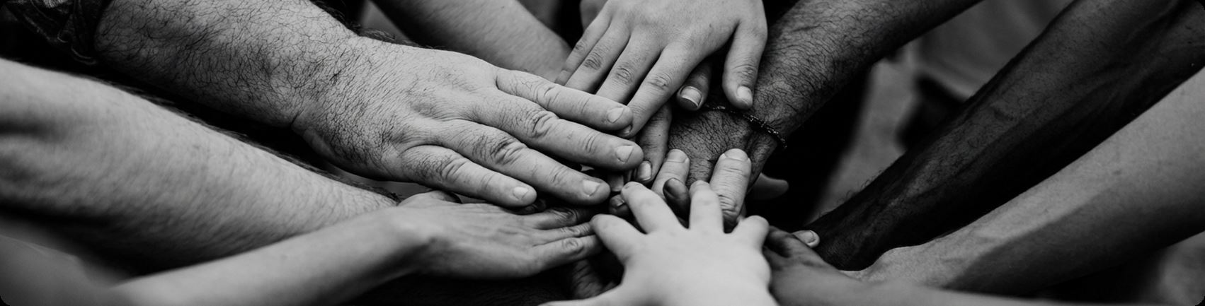 Mühendislik Disiplini, Danışmanlık Tecrübesi.